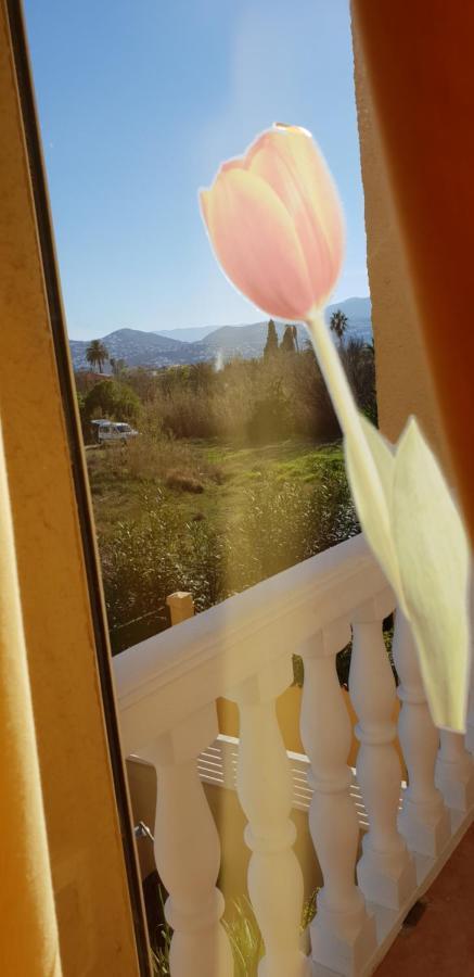 Apartamento Mar Y Sol, Dénia Eksteriør billede